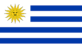 Seguro de Salud para Uruguayanos